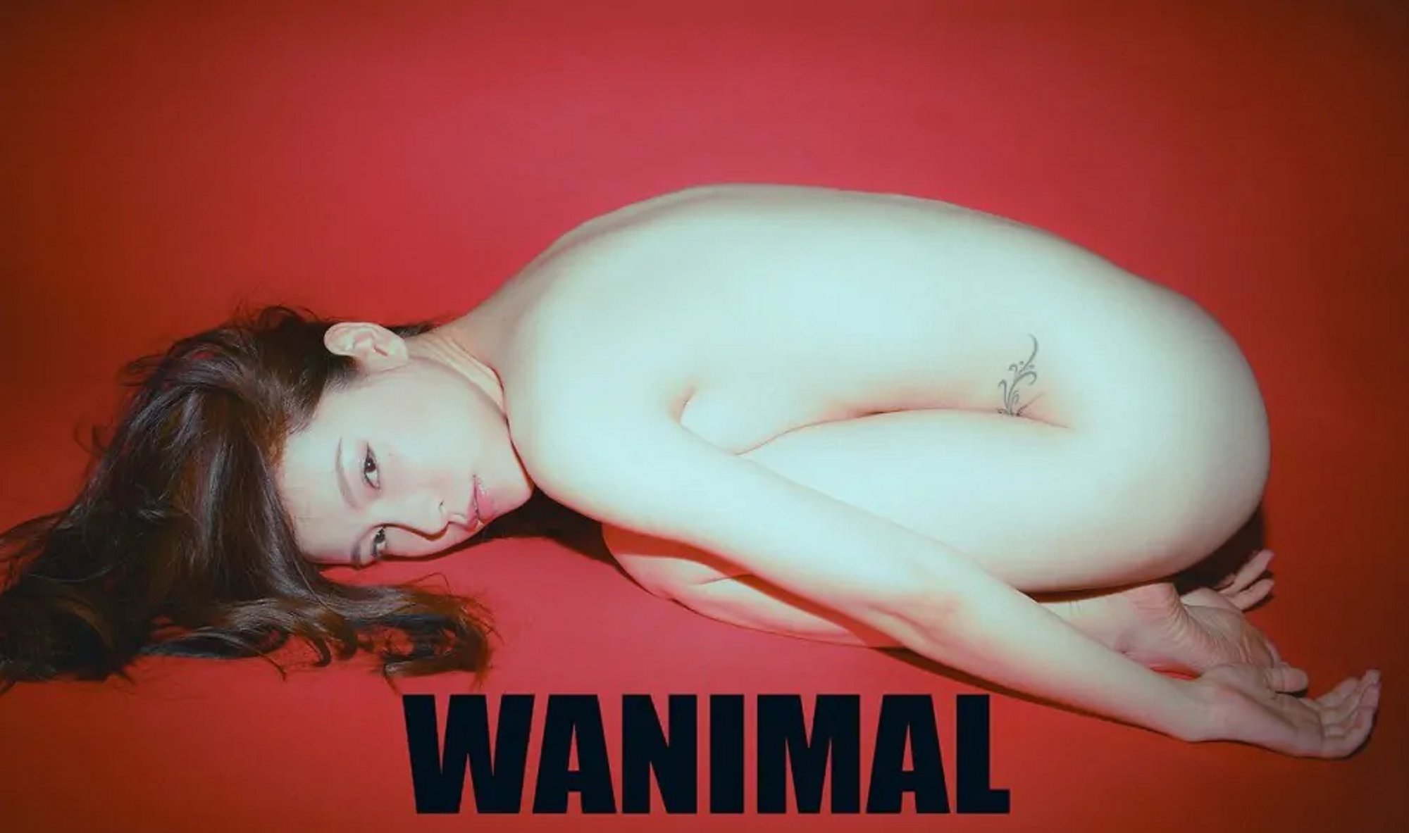 [合集]珍藏写真《WANIMAL王动》系列全套包含高清视频和套图，大小75.2G