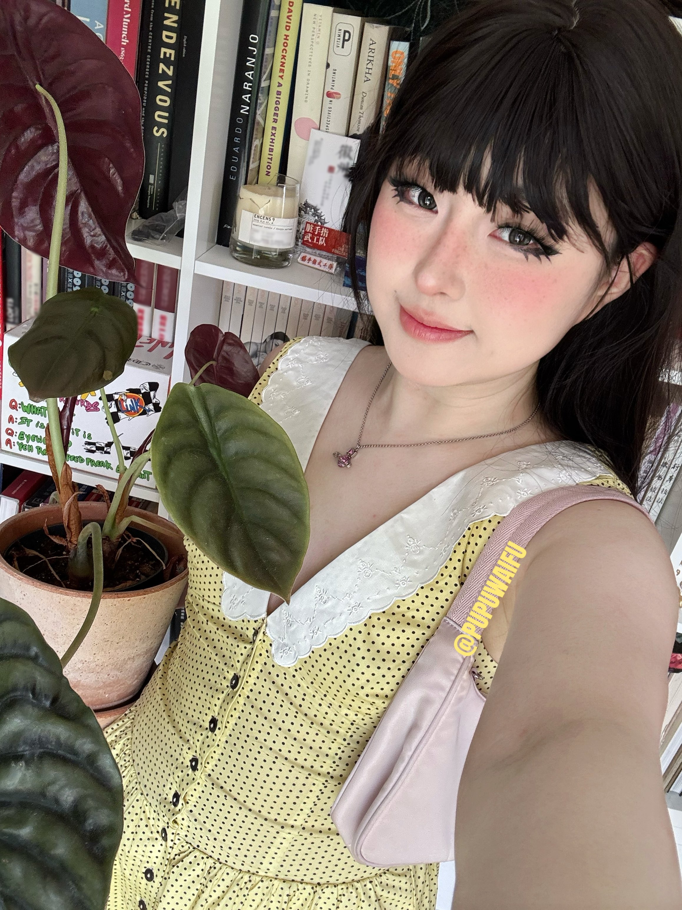 噗噗pupu(Aheyanlz) 作品合集 [104.5G] 持续更新