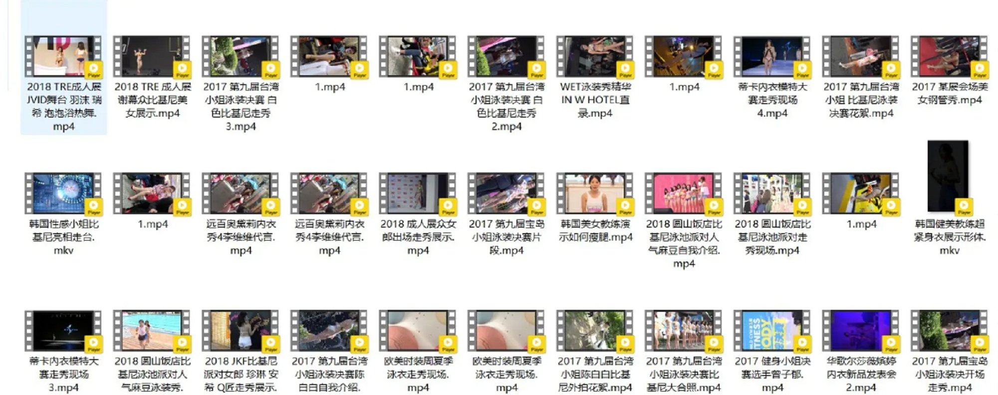 精选模特 明星（韩国女团/韩国车展车模/JKF比基尼派/钢管秀/成人展/内衣秀/时装秀/街拍视频）高清视频合集 共117套写真写真视频[33.60G]